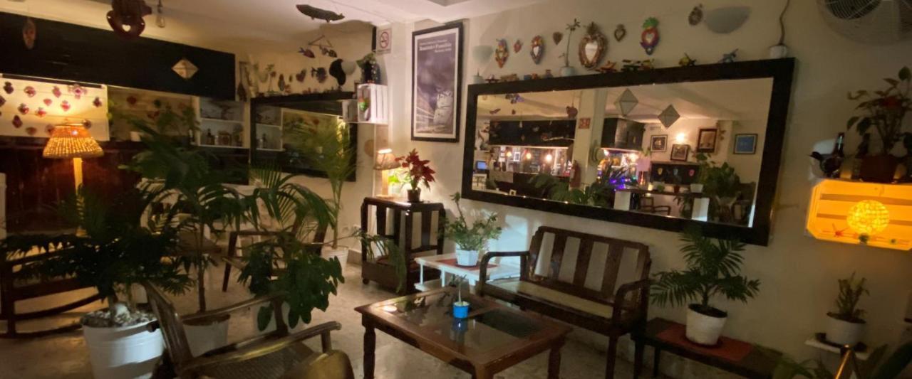 Hotel La Piazzetta Mérida Dış mekan fotoğraf