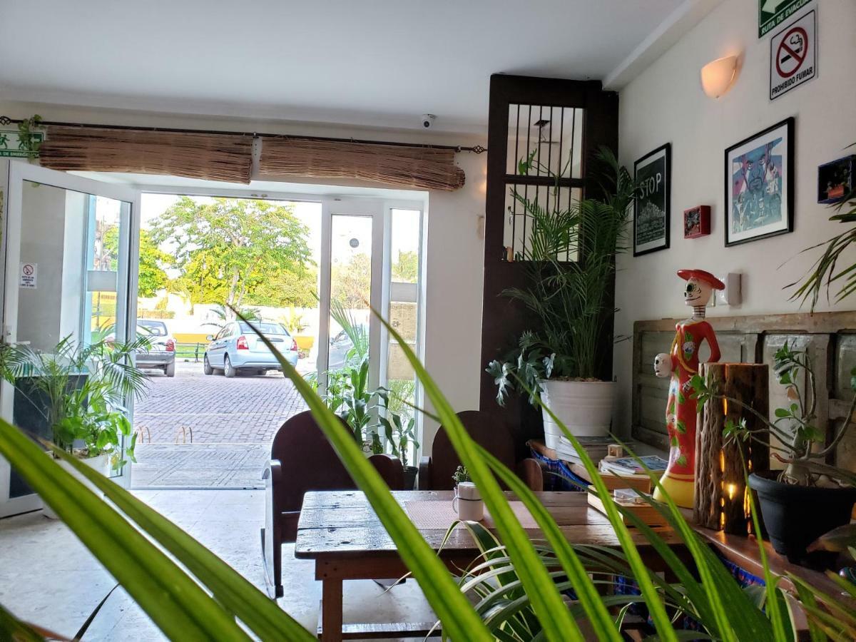 Hotel La Piazzetta Mérida Dış mekan fotoğraf